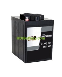 Batera AGM Carbono FQS Battery FQS6-245AGMC 6V 245Ah