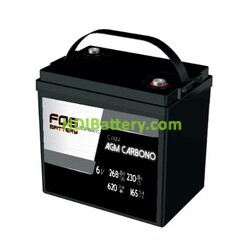 Batería AGM Carbono FQS Battery FQS6-265AGMC 6V 265Ah