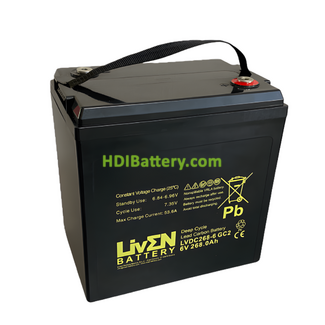 Bater�a AGM de Carbono-Gel Liven Battery LVDC268-6 GC2 6V 268Ah