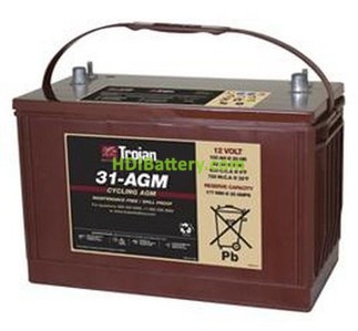 Batera para electromedicina 12V 100Ah Trojan 31-AGM