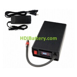 Bater�a de Litio 48V 5Ah para Tijeras de Poda ELECTROCOUP + Cargador | F-3000, F-3002, F-3005
