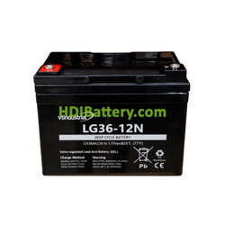 Bater�a de GEL 12V 36Ah VT Industrial LG36-12N 