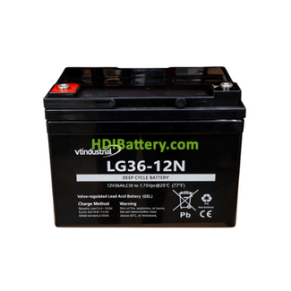 Bater�a de GEL 12V 36Ah VT Industrial LG36-12N 