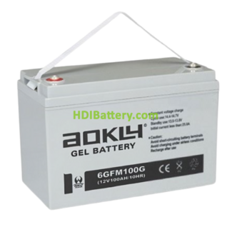 Batera para SAI-UPS Aokly Power 6GFM100G 12V 100Ah 