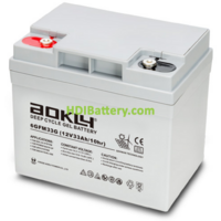 Bater�a de Gel Aokly Power 6GFM33G 12V 33Ah 