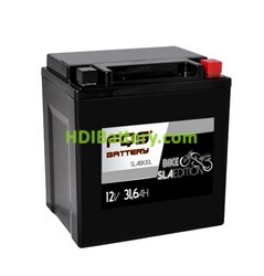 Batería de Gel SLA FQS Battery SLABIX30L START STOP 12V 31.6Ah