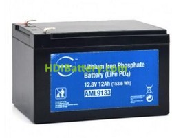 Batería de LiFePO4 NX 12V 12Ah 