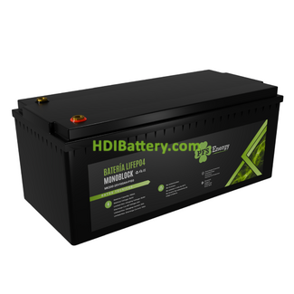 Bater�a de LiFePO4 25.6V 100Ah PFS Energy - Bluetooth
