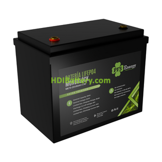 Bater�a de LiFePO4 25.6V 60Ah PFS Energy - Bluetooth