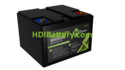 Batería de LiFePO4 PFS Energy 12.8V 30Ah