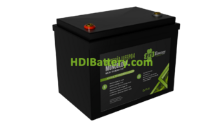 Batera de LiFePO4 PFS Energy 12.8V 40Ah