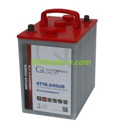 Batería de plomo ácido con placa tubular 6v 245Ah Q-batteries 6TTB245 USA