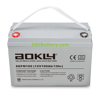 Batera Solar Aokly Power 12V 100Ah 6GFM100