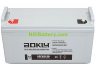 Bater�a de plomo AGM Aokly Power 6GFM120 12V 120Ah