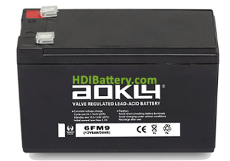 Batera para electromedicina 12V 9 Ah Aokly Power 6FM9