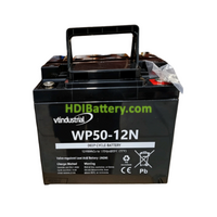 Bater�a de plomo AGM 12V 50Ah VT Industrial WP50-12NE 