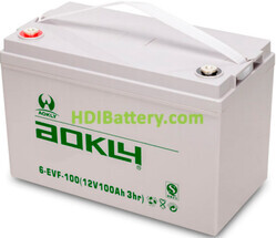 Batería de plomo AGM Aokly 6EVF100 12V 100AH