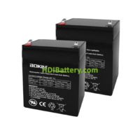 2 Bateras de plomo AGM Aokly Power 6FM2.9 24V 2.9Ah