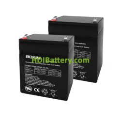 2 Bateras de plomo AGM Aokly Power 6FM2.9 24V 2.9Ah