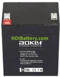 Batera para SAI/UPS 12V 5Ah Aokly Power 6FM5 