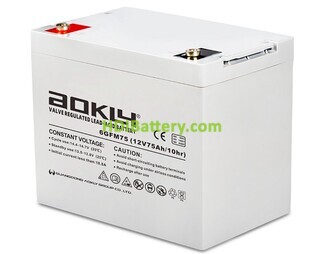 Batera de plomo AGM Aokly Power 6GFM75 12V 75Ah