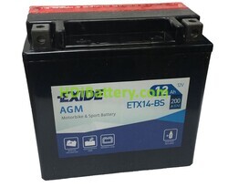 Batería de plomo AGM Exide ETX14-BS 12V 12Ah