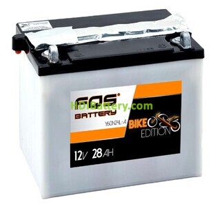 Batería de plomo AGM FQS Battery Y60N24L-A 12V 28Ah 