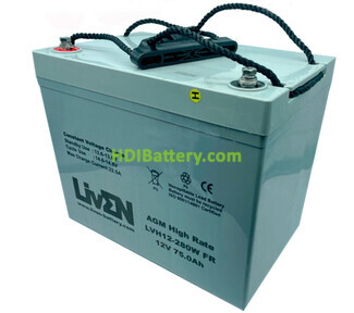 Batera de plomo AGM Liven Battery LVH12-280WFR 12V 75Ah 