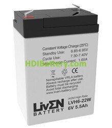 Batería de plomo AGM LVH6-22W Liven Battery 6V 5,5Ah