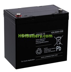 Batería de Plomo Yuasa YPC55-12 12V 55Ah 