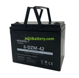 Batera de Traccin VT Industrial 6DZM42 12V 42Ah