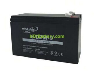 Batera de Traccin VT Industrial 6DZM9 12V 9Ah