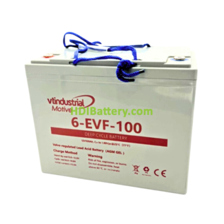 Batera de Traccin VT Industrial 6EVF100 12V 100Ah
