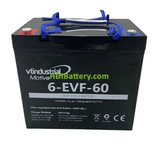 Batera de Traccin VT Industrial 6EVF60 12V 60Ah