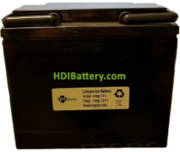 Batera Litio-ion para vehculo elctrico PFS Energy 24V 36Ah