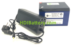 Batera Pack Litio ion Samsung 24V 11,6Ah + BMS + Cargador 29,4V 2A