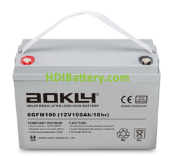 Batería para buggie de golf 12V 100Ah Aokly Power 6GFM100