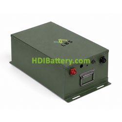 Bater�a para Buggy de Golf LiFePO4 51.2V 100Ah LBS Battery LBS-BG-51.2-100