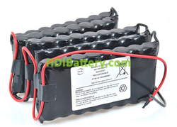 Batería para tijera de poda Electrocoup F3000 F3002 48V 4AH NIMH 