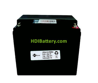 Batera para Vehculo Elctrico Litio-ion PFS Energy 24V 21Ah