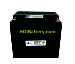Batería para Vehículo Eléctrico Litio-ion PFS Energy 24V 24.5Ah