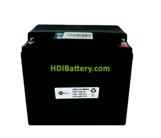 Batera para Vehculo Elctrico Litio-ion PFS Energy 24V 24.5Ah