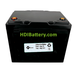 Batería para Vehículo Eléctrico Litio-ion PFS Energy 24V 49Ah