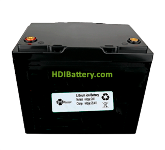 Batera para Vehculo Elctrico Litio-ion PFS Energy 24V 63Ah