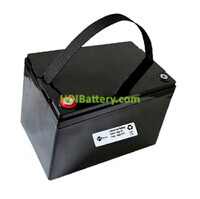 Batera para Vehculo Elctrico Litio-ion PFS Energy 24V 84Ah