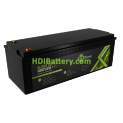 Batera Smart de LiFePO4 PFS Energy 12.8V 300Ah | PFS-MK300-12V300Ah-P100