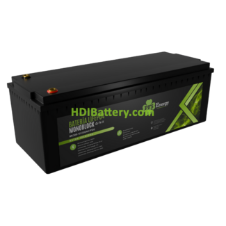 Batera Smart de LiFePO4 PFS Energy 12.8V 300Ah | PFS-MK300-12V300Ah-P100