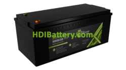 Batera Smart de LiFePO4 PFS Energy 12.8V 314Ah | PFS-MK200-12V314Ah-P300