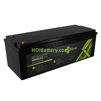 Batera Smart de LiFePO4 PFS Energy 25.6V 100Ah | PFS-MK300-25V100Ah-P100