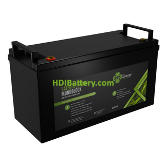 Bater�a de LiFePO4 25.6V 75Ah PFS Energy - Bluetooth